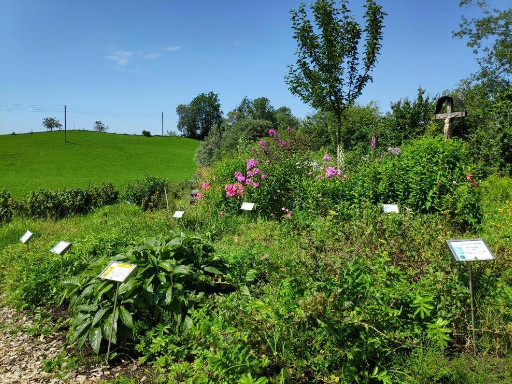 Ferienwohnung Allgaeuglueck Im Ferienpark Oberallgaeu Mit Hallenbad, Sauna, Wlan Missen-Wilhams Exterior foto